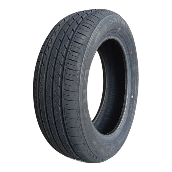 Delinte DH2