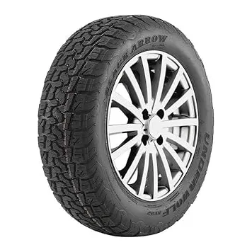 Black Arrow 175/80 R14