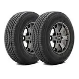 Bridgestone Ecopia