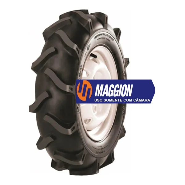 Maggion Maggion