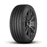 Goodyear F1 Asymmetric 6