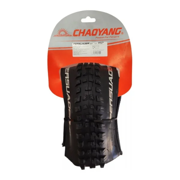 Chaoyang Chaoyang