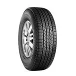 Michelin All Season