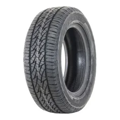 Bridgestone Dueler