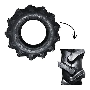 Cinborg