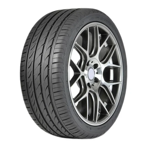 Delinte DH2
