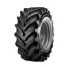 Pirelli