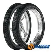 Maggion Maggion