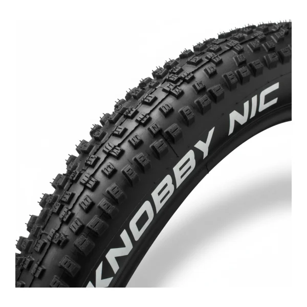 Schwalbe
