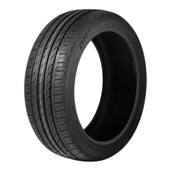 Delinte DH2