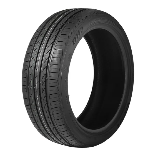 Delinte DH2