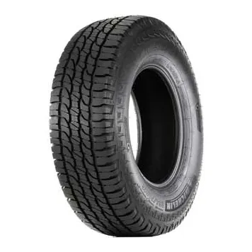 Michelin Force
