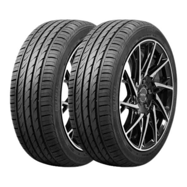 Delinte DH2