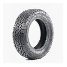 RoadCruza RoadCruza RA1100