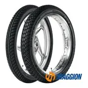 Maggion Maggion