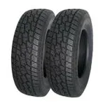 Delinte 275/70 R18