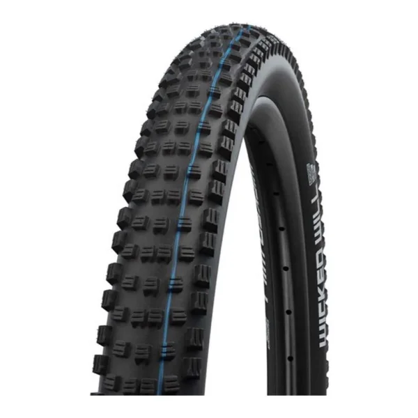 Schwalbe Evo