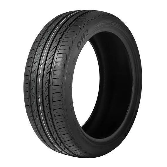 Delinte DH2