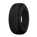 Dunlop