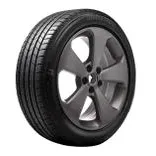 Bridgestone T005