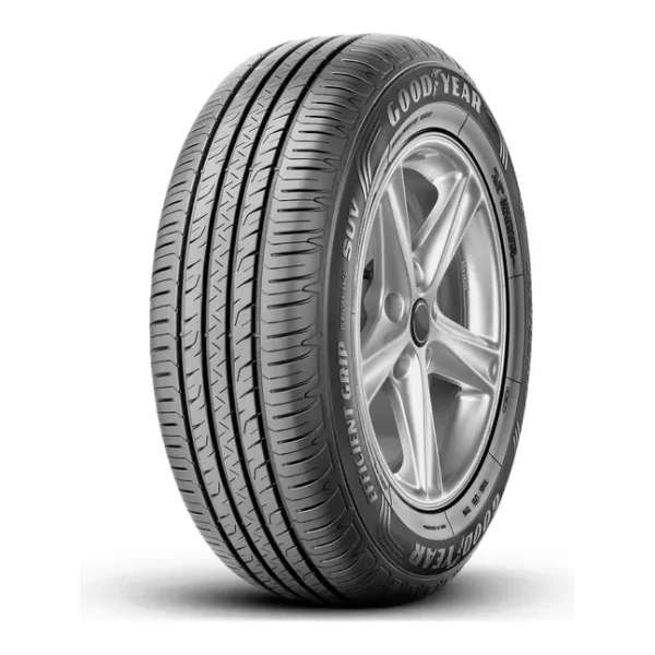 Goodyear Performance