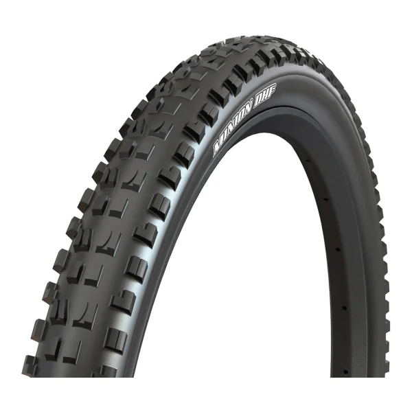 MAXXIS Minion (Enduro/DH)