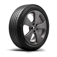 Bridgestone T005