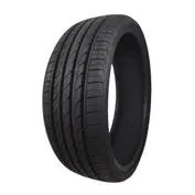 Delinte DH2