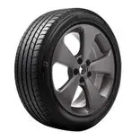 Bridgestone T005