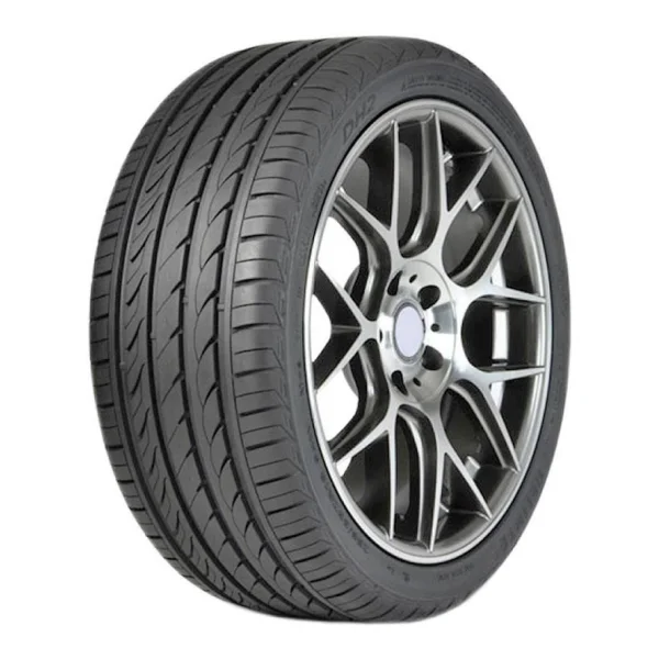 Delinte DH2