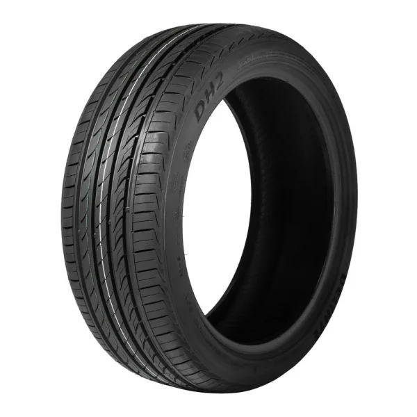 Delinte DH2