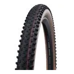 Schwalbe Evo