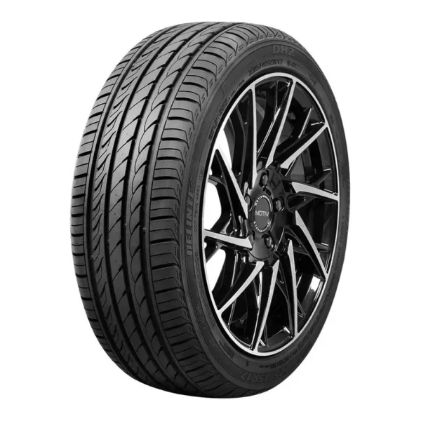 Delinte DH2