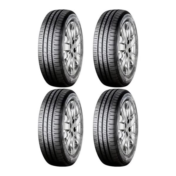 Dunlop R1